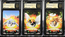 Load image into Gallery viewer, CGC PRISTINE 10 Japanese Nincada, Ninjask & Shedinja Carddass Zukan Sequential Set (Graded Card)