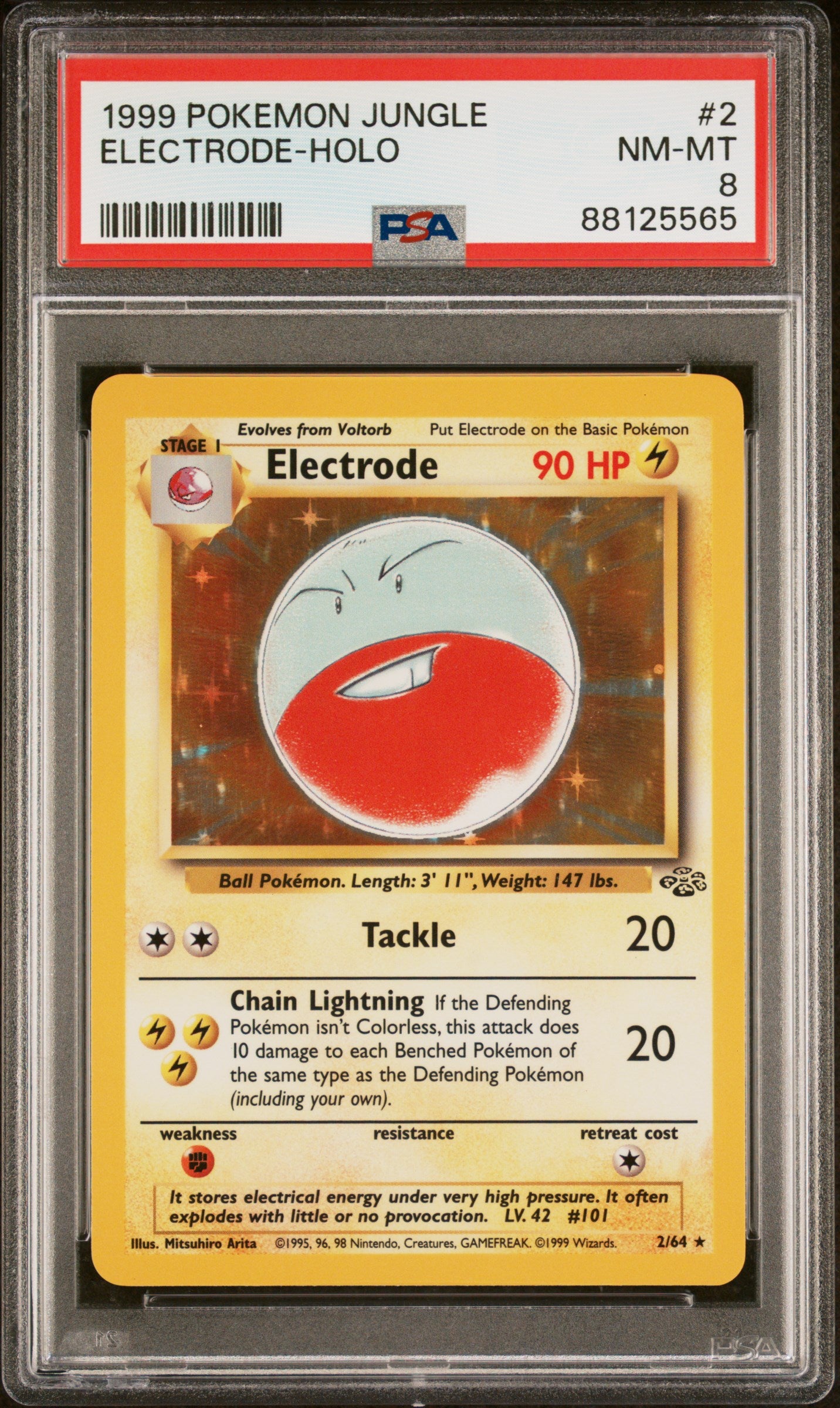 PSA 8 Electrode Jungle Holo (Graded Card) Phurion's Pokemon