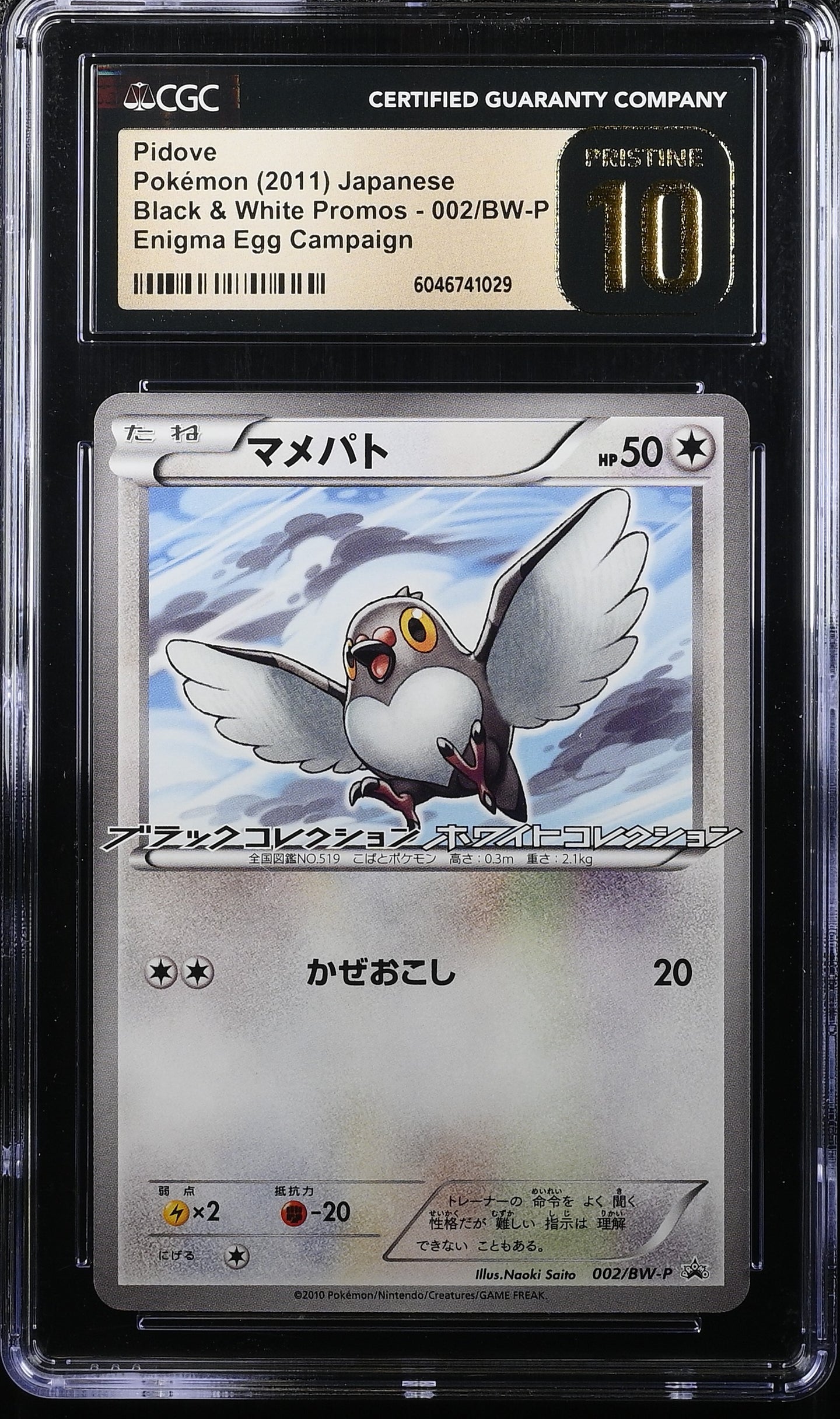 CGC PRISTINE 10 Japanese Pidove Promo [POP 1] (Graded Card)