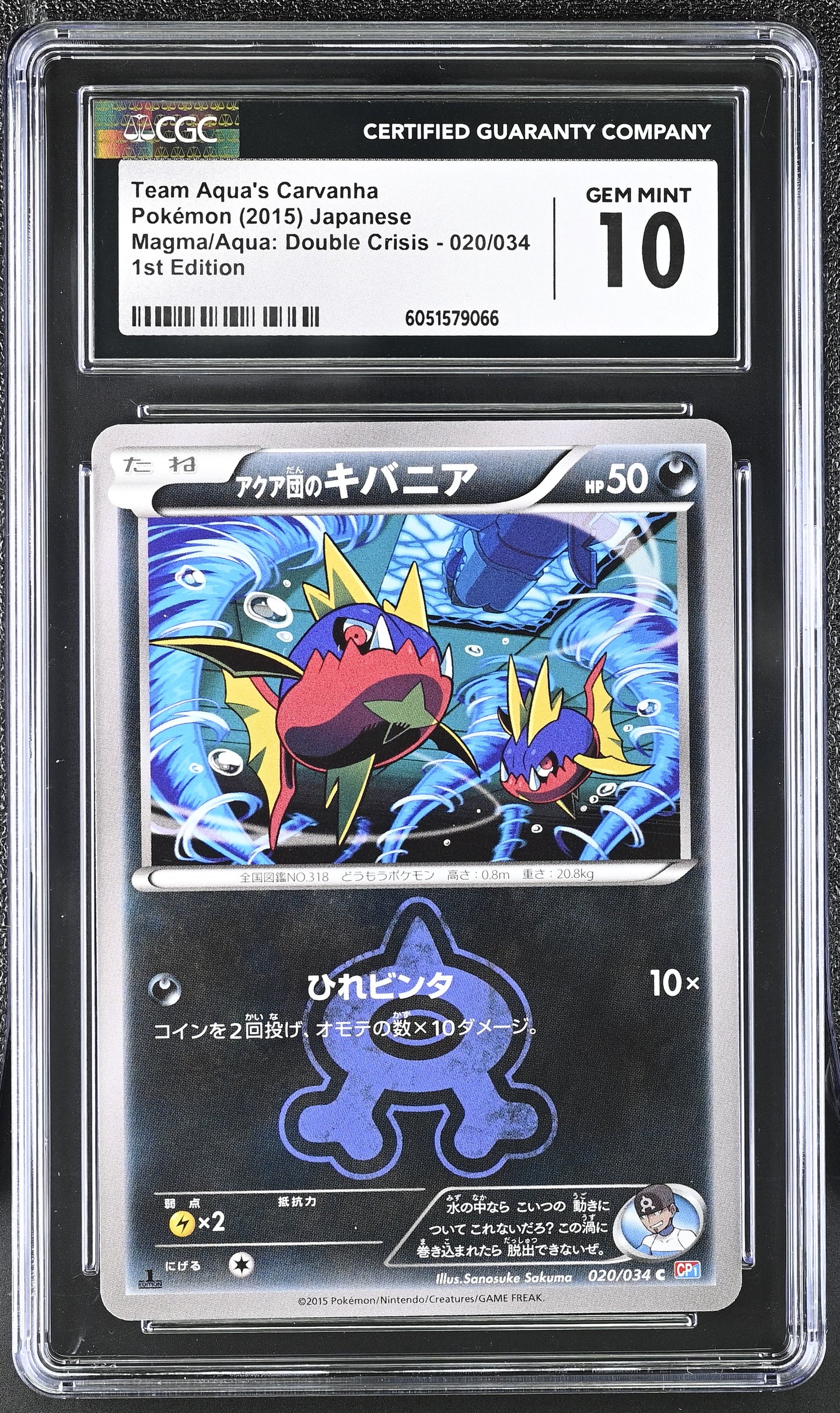 CGC GEM 10 Japanese Team Aqua's Carvanha 1st Edition (Graded Card)
