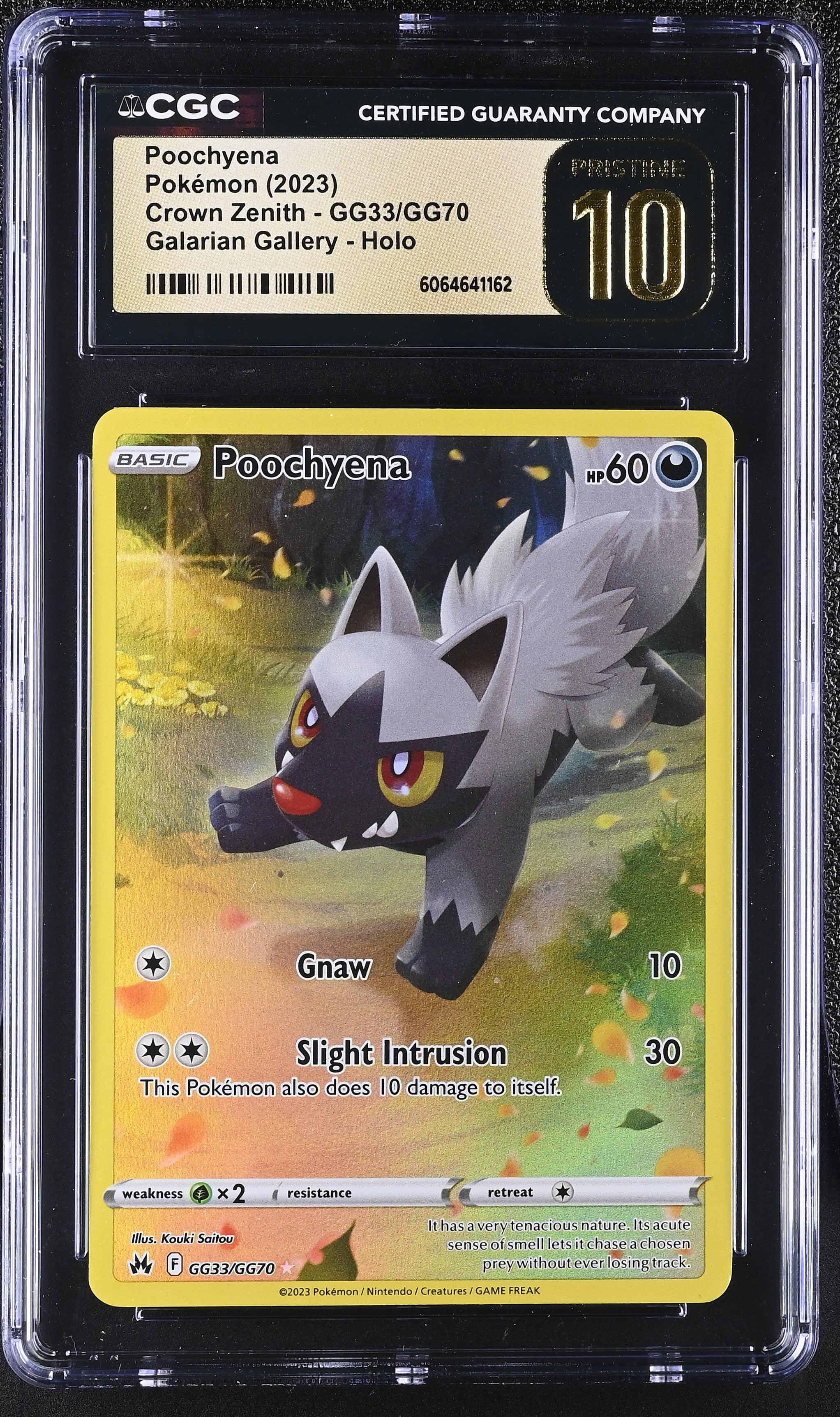 poochyena pokemon card price CGC PRISTINE 10 Poochyena Illustration Rare (Graded Card)