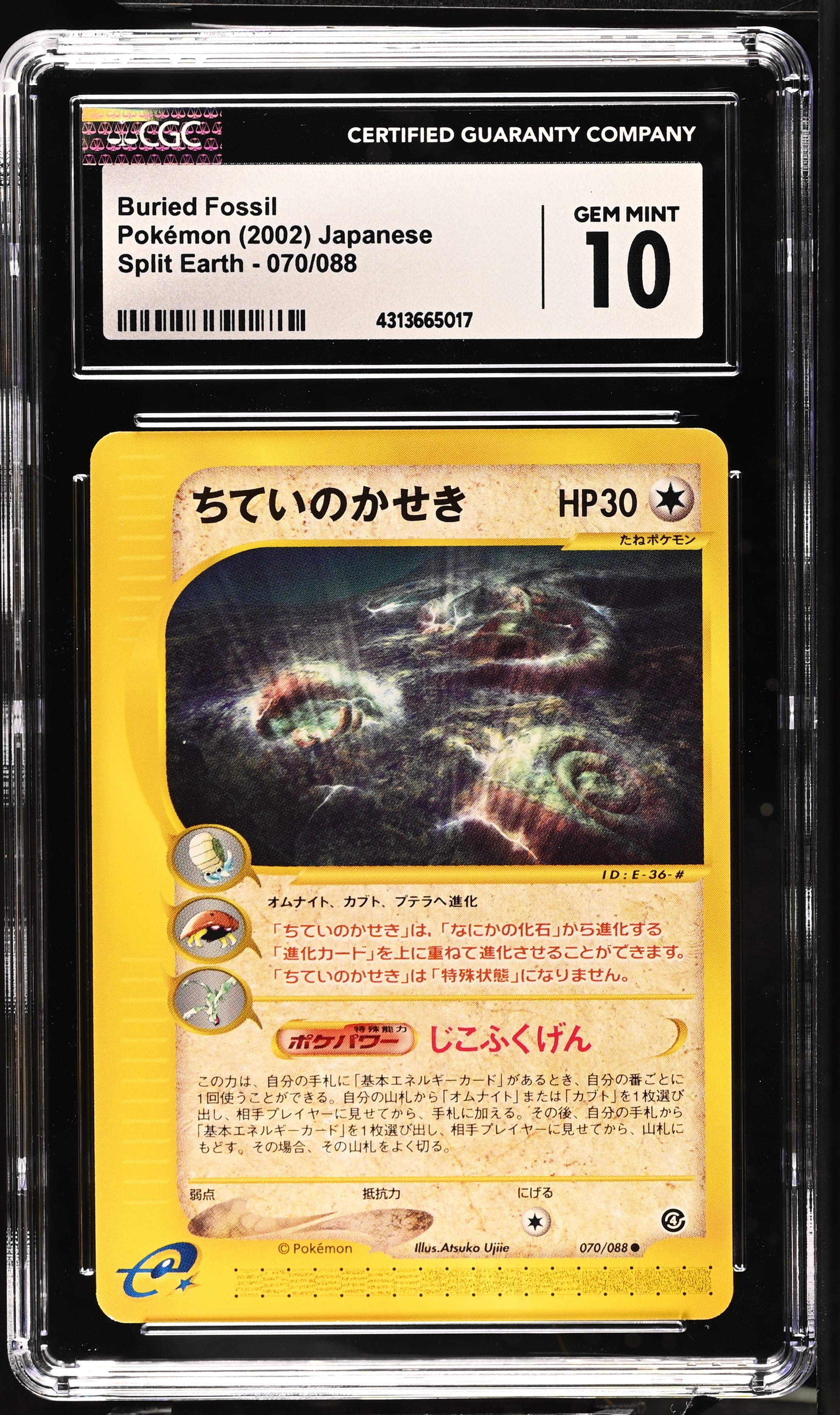 CGC GEM 10 Japanese Buried Fossil Common (Graded Card) CGC GEM 10 Japanese Buried Fossil Common (Graded Card)