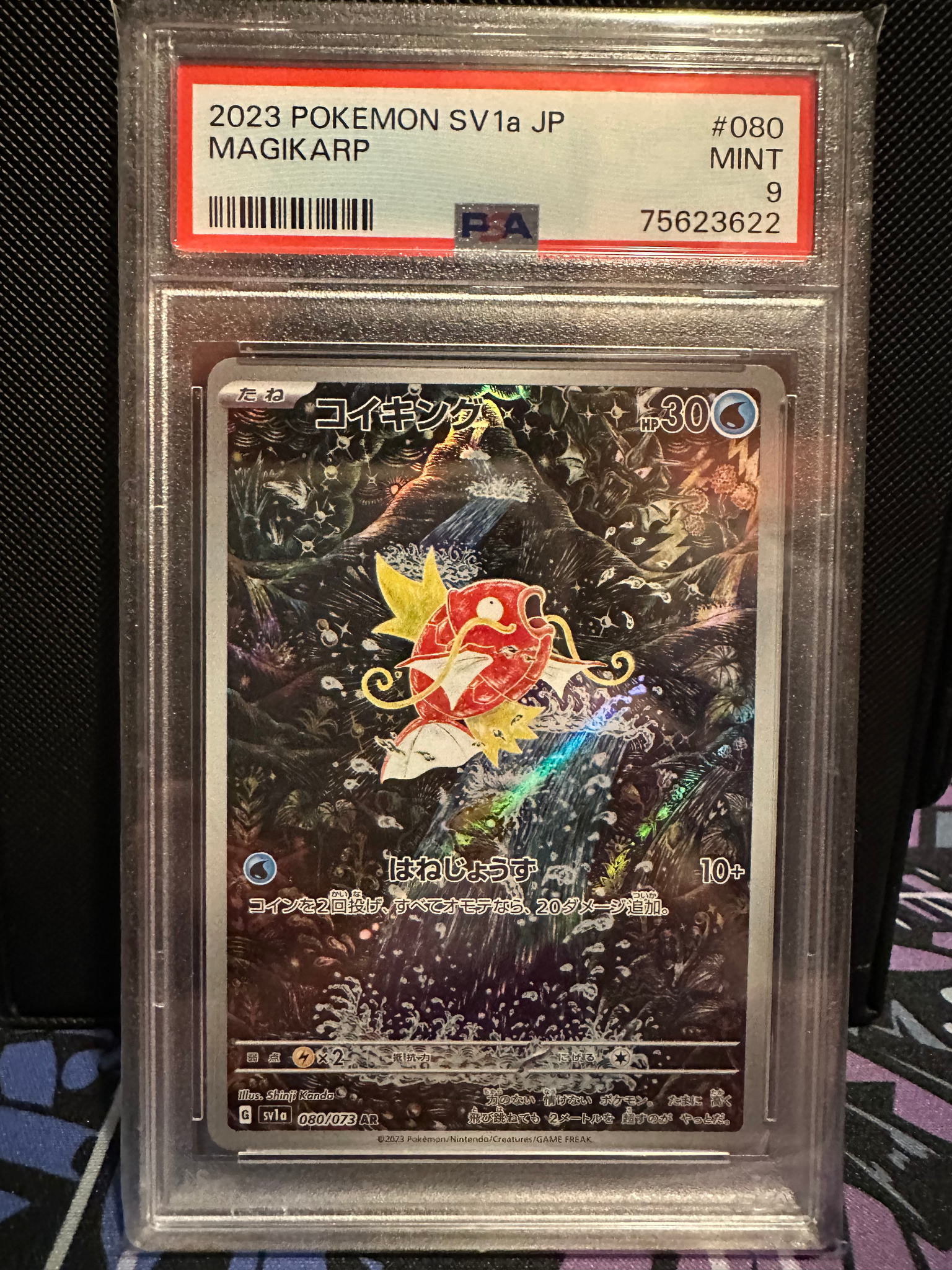 magikarp rare card Illustration (203) 2023 Pokemon French Pal FR-Paldea Evolved the official authentication and grading ensure this card remains a verified mainstay of your growing collection. Fanatics Collect | We just
