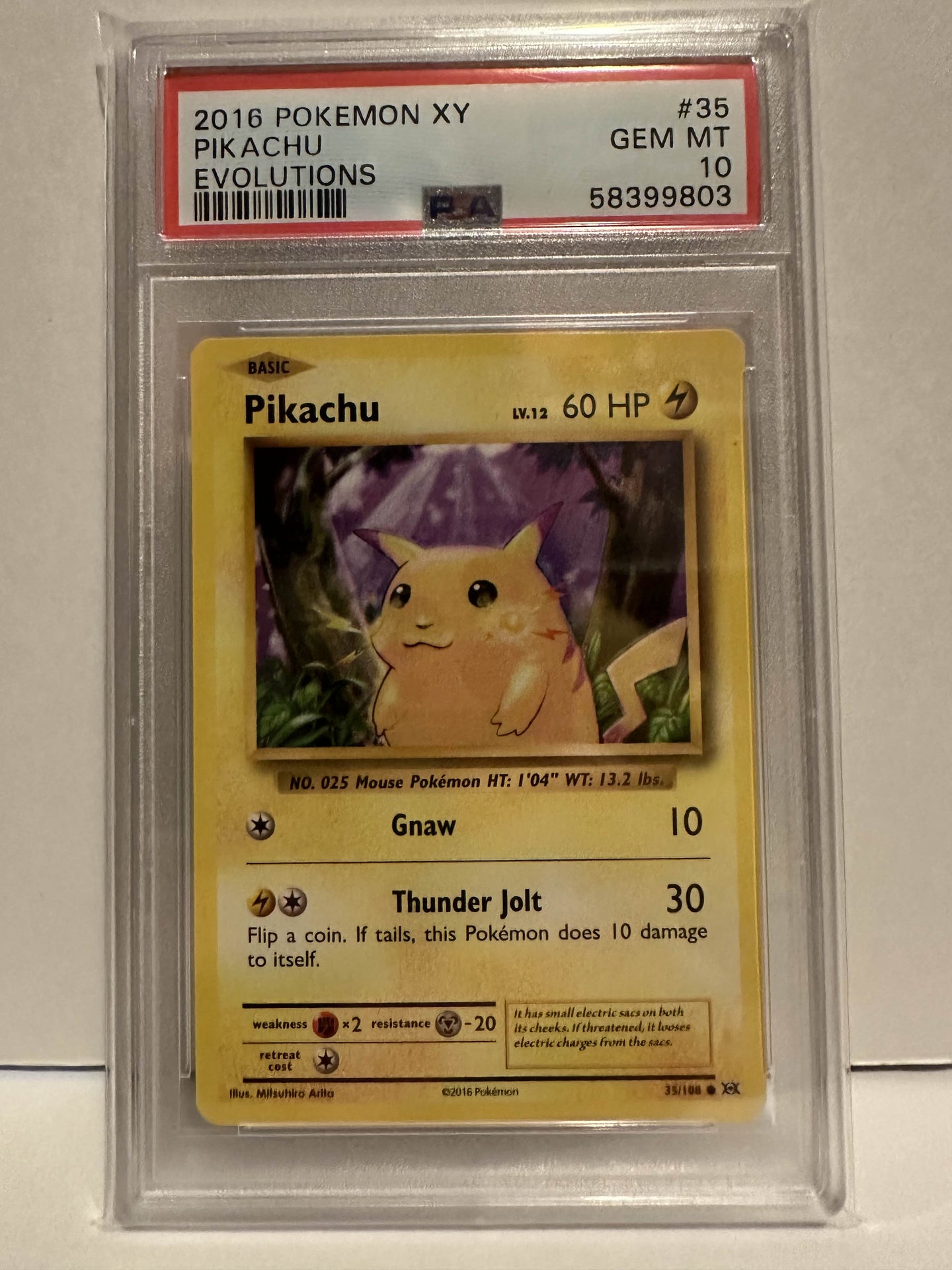 PSA 10 Pikachu XY Evolutions Common (Graded Card)