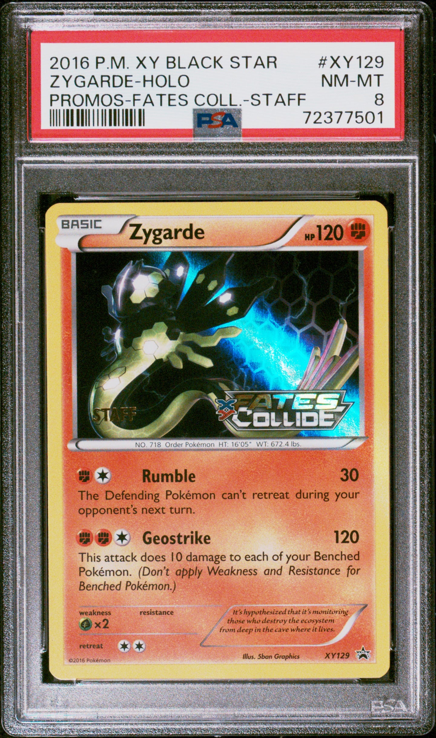 PSA 8 STAFF Stamped Zygarde Promo Holo (Graded Card)