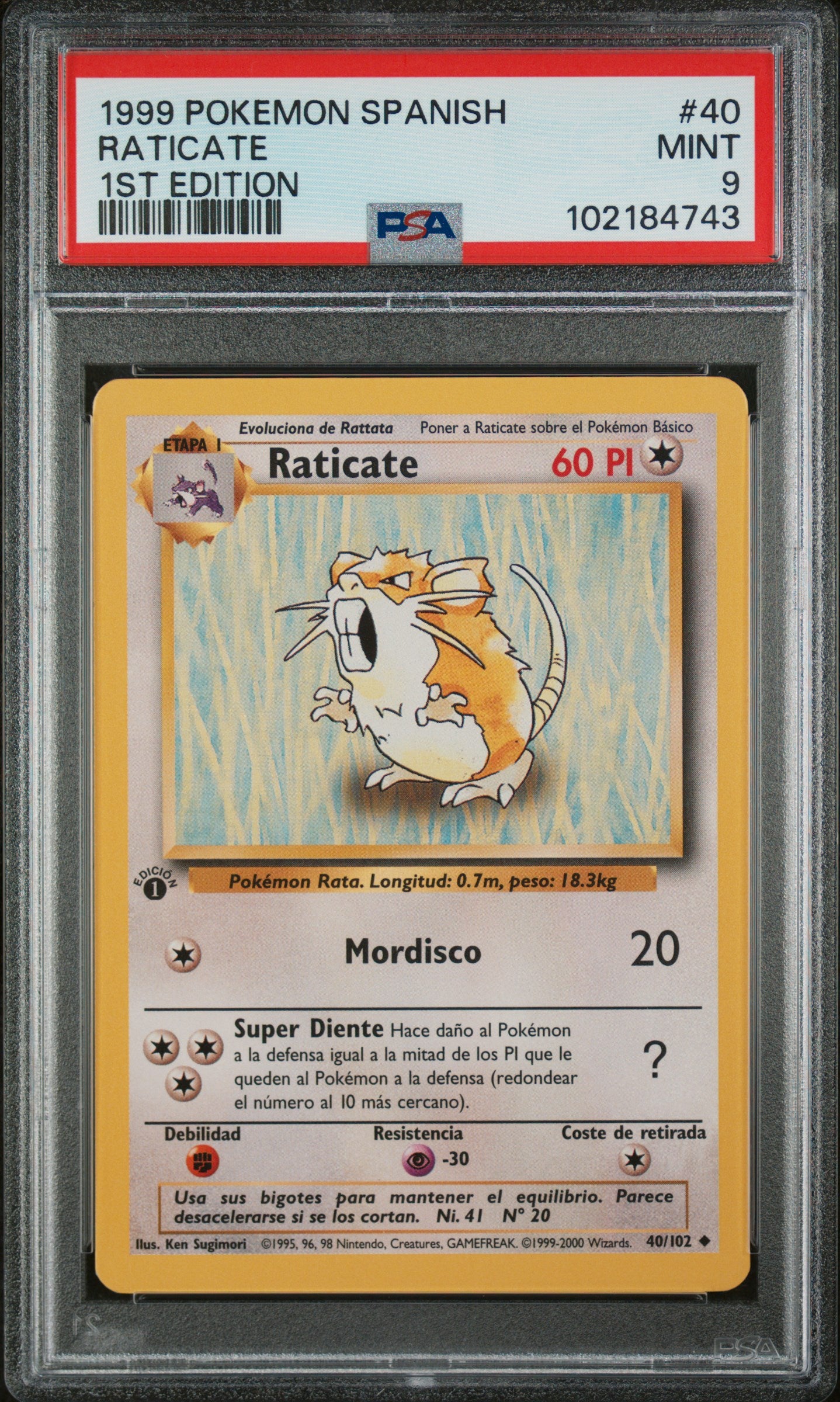 PSA 9 SPANISH Raticate 1st Edition Base Set (Graded Card)