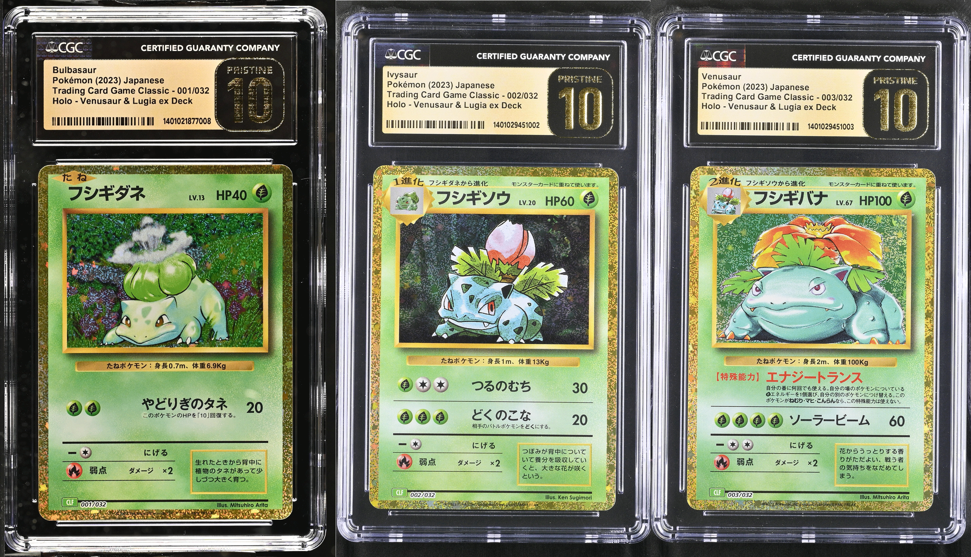 フシギダネ フシギバナ classic Bulbasaur Venusaur フシギダネ フシギバナ classic Bulbasaur Venusaur - メルカリ